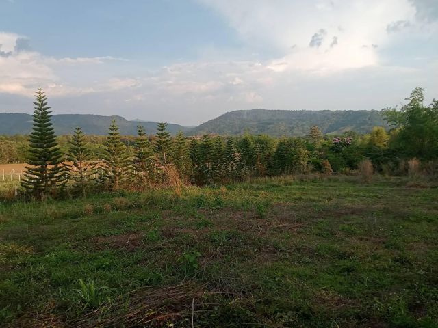 ที่ดินภูเรือ 2 ไร่ วิวสวยแบบนี้หายากมาก! ตื่นมาดูแม่คะนิ้ง เหมาะกับบ้านพักตากอากาศมาก