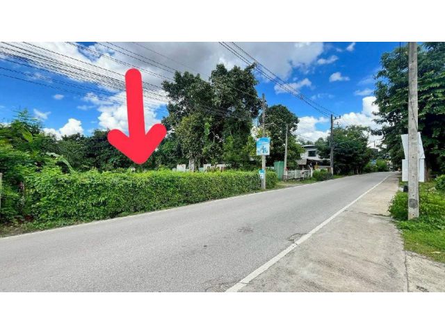 ขายที่ดินอำเภอเมืองเชียงใหม่ ถนนวัดช้างทอง ใกล้สนามบิน เนื้อที่ 113 ตร.วา ราคา 5.9 ล้าน