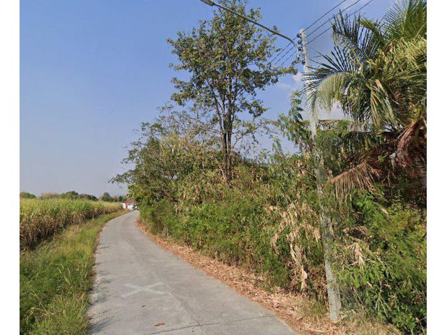 ขายที่ดินหนองหงษ์ 2 ไร่ ติดถนนคอนกรีต ใกล้ถนนเส้นชบ.3023-200เมตร อ.พานทอง ชลบุรี