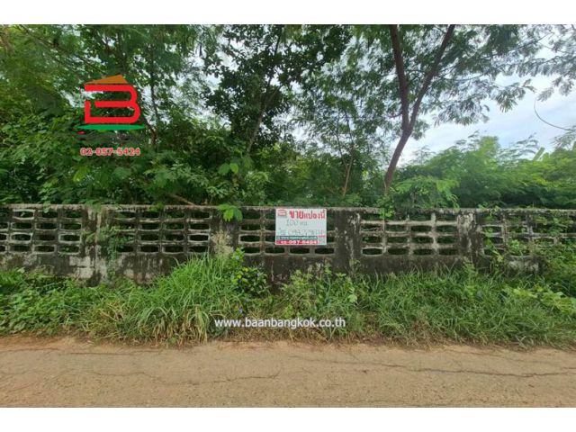 ที่ดิน ซอยประชาสำราญ 3 หนองจอก เนื้อที่ 100 ตรว. หนองจอก กรุงเทพมหานคร