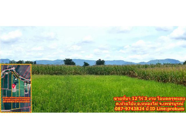 ขายที่ดินเพชรบูรณ์ 12ไร่ 3 งาน 65 ตรว.ไร่ละ150,000