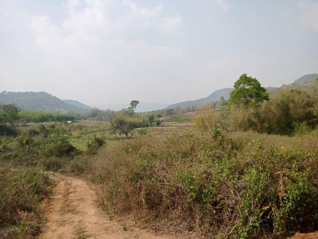 ที่ดินเพื่อการเกษตร อ.ภูเรือนส3ก 10 ไร่ๆละ100,000 ขายยกแปลง