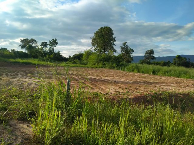 ที่ดินสวยอ.ภูเรือ 1 ไร่ ใกล้ถนนทางหลวง50 ม.โฉนดเหมาะกับบ้านพักตากอากาศ