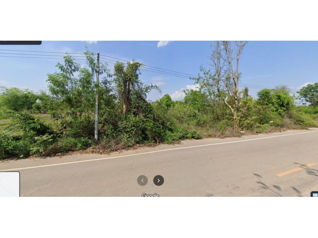 ขายที่ดิน 4 ไร่ครึ่ง เข้า-ออก ถนนพหลโยธิน(๑) เพียง 700 เมตร ที่ดินติดถนน 3 ด้าน มีน้ำไฟฟ้าพร้อม บรรยากาศดีมาก