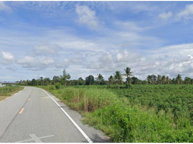 ขายที่ดินห้วยใหญ่ 2 ไร่ ถนนเทศบาล1ซอย43 ติดถนนบายพาสพัทยา-มาบตาพุด อ.บางละมุง ชลบุรี