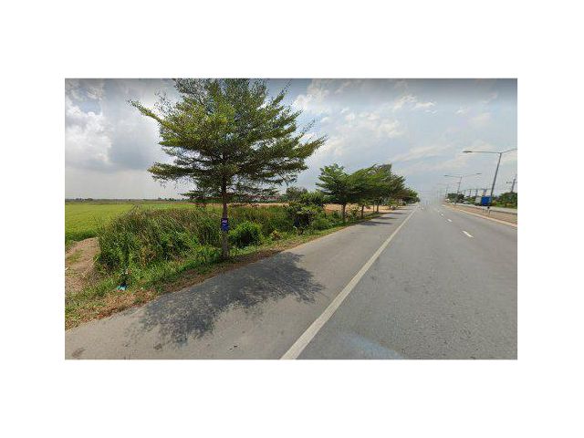 ขายที่ดิน 50 ไร่ ใกล้ตลาดโก้งโค้ง อ.บางปะอิน จ.พระนครศรีอยุธยา