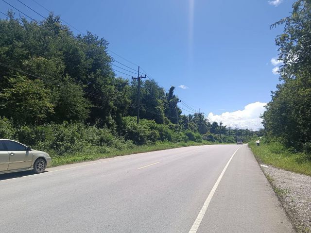 ที่ดินสวยติดถนนทางหลวงริมแม่น้ำโชียงคาน 3 ไร่ 3 งาน ถูกมาก