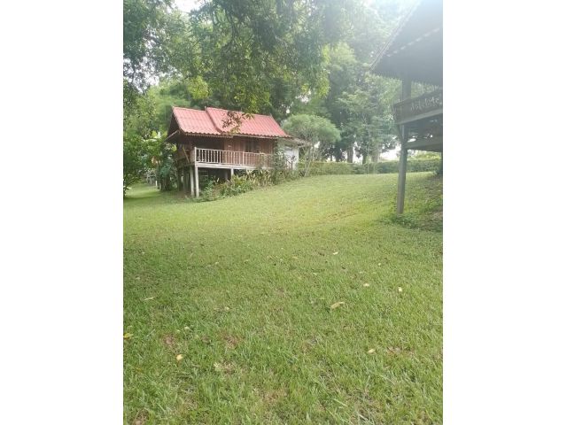 ที่ดินติดแม่น้ำโขงเชียงคาน 1 ไร่ 1 งาน โฉนด ไม่ไกลเชียงคาน ที่ราบสวยไม่ต้อถม ปลูกบ้านได้เลย