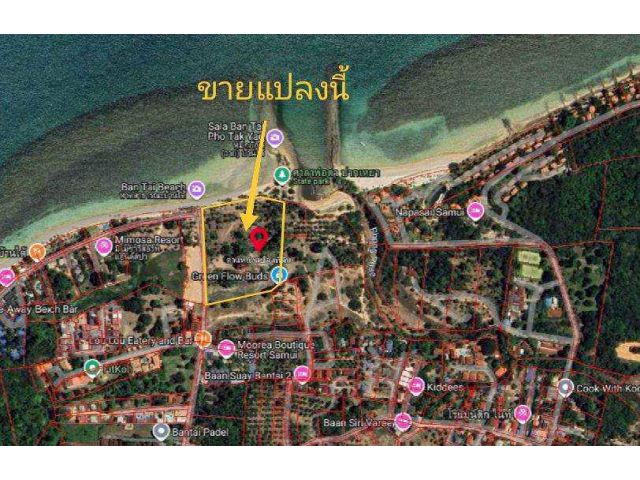 ประกาศ ขายที่ดินทำเลสวย ติดทะเล – เกาะสมุย