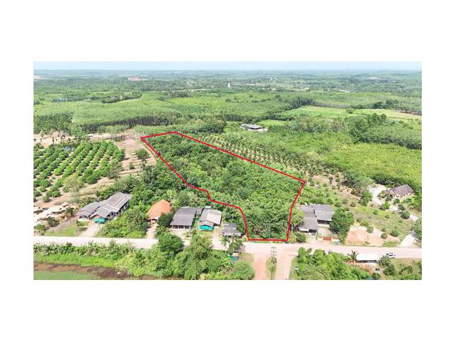 ขายที่ดิน 8 ไร่ 192 ตร.ว. ติดถนน มีโฉนด ขายยกแปลง 5.5 ล้านบาท