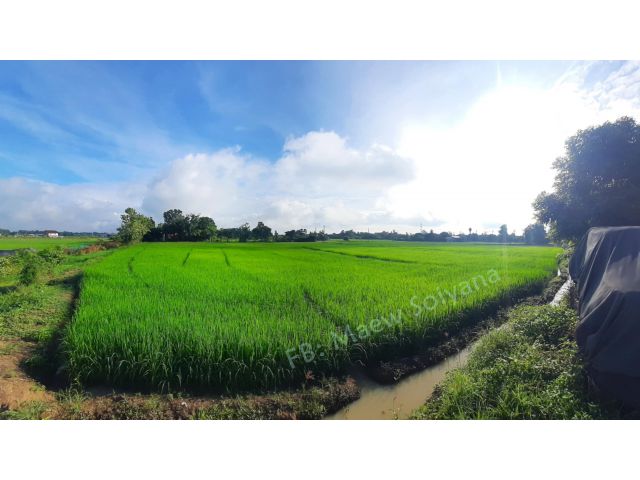 ที่ดินสวย ราคางาม