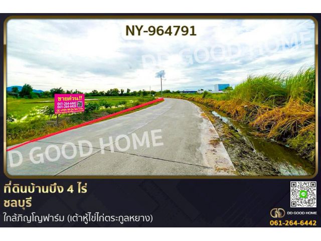 NY-964791 ที่ดินบ้านบึง 4 ไร่ ชลบุรี ใกล้ภิญโญฟาร์ม (เต้าหู้ไข่ไก่ตระกูลหยาง)