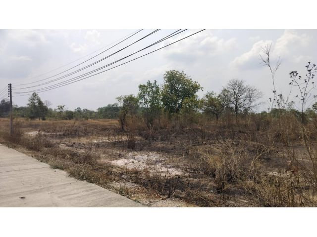ที่ดินเปล่ามีโฉนด 6 ไร่ ติดถนนคอนกรีต 2 ฝั่ง ใกล้วัดฉมัน