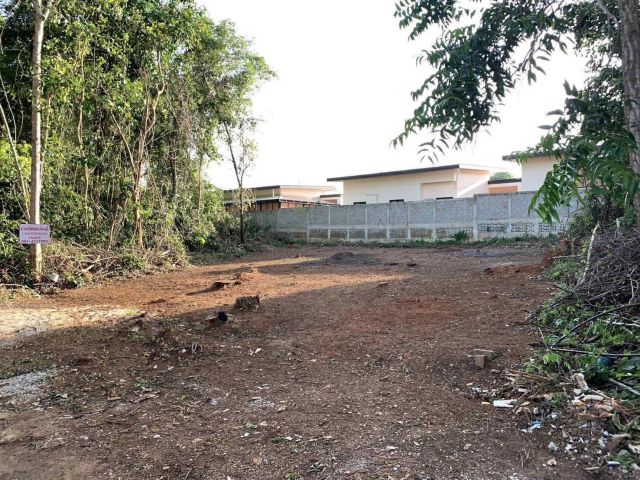 ขายที่ดิน จังหวัดเลย