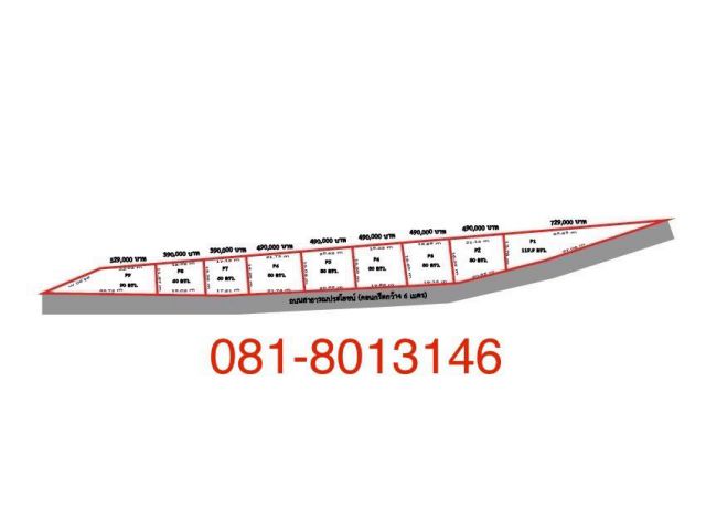 ขายที่ดินแบ่งล็อคขายราคาถูก 60-80-90-119 ตารางวาขายตามราคาห่างถนนสุขุมวิท 400 เมตร จ.ระยอง