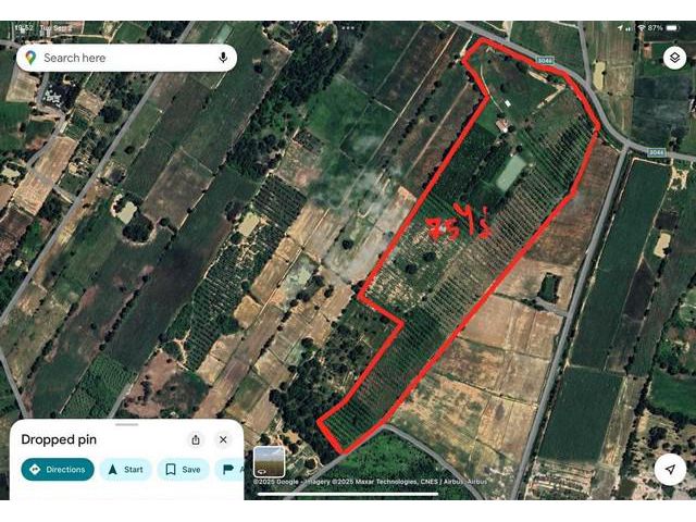 ขายที่ดินทำเลดี ที่ดินสวนไผ่ซางหม่นอายุ 5 ปี พร้อมที่พัก เจ้าของขายเอง สุพรรณบุรี