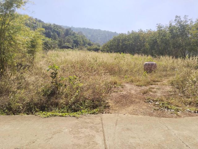 ที่สวย4ไร่ ติดเขตเทศบาลภูเรือ เหมาะกับบ้านสวน บรรยากาศดี