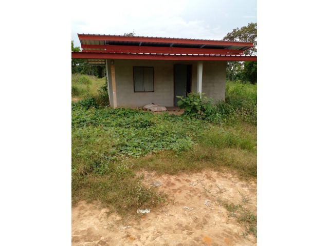 ที่โฉนด 3 ไร่ 990000 ต.โคกงาม อ.ภูเรือ เหมาะกับการทำสวนมาก
