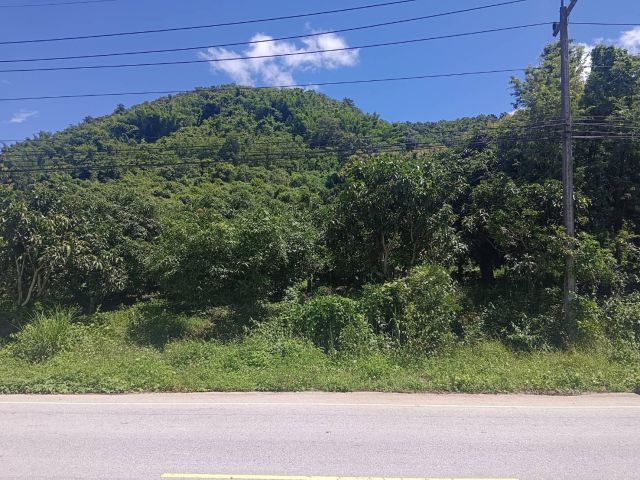 ที่สวยใกล้แม่น้ำโขงติดถนนทางหลวงเชียงคานใกล้ตัวเชียงคาน 2300000