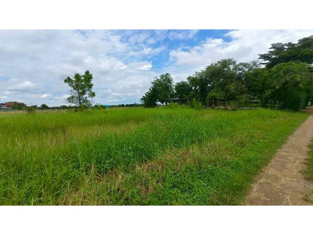 ขายที่ดิน ที่ดิน คลอง7 หนองเสือ ปทุมธานี