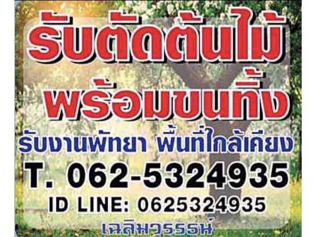 รับตัดต้นไม้ ในเขตเมืองพัทยา อ.บางละมุง พื้นที่ใกล้เคียง รับตัดต้นไม้ รับตัดกิ่งไม้ รับตัดหญ้า รับกำจัดวัชพืช รับฉีดยาฆ่