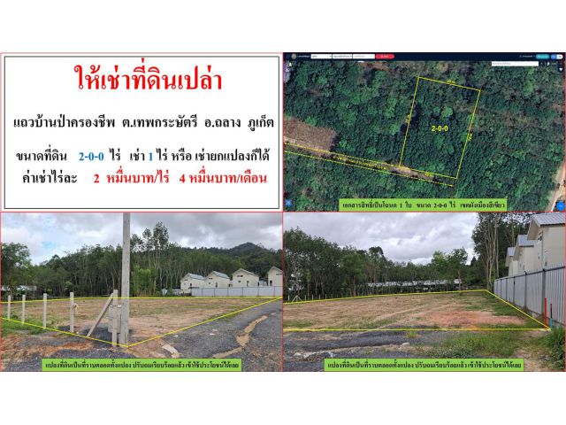 ให้เช่าที่ดินเปล่า ขนาด 2-0-0 ไร่ เช่า 1 ไร่ หรือ เช่ายกแปลงก็ได้ บ้านป่าครองชีพ  ต.เทพกระษัตรี  อ.ถลาง  ภูเก็ต