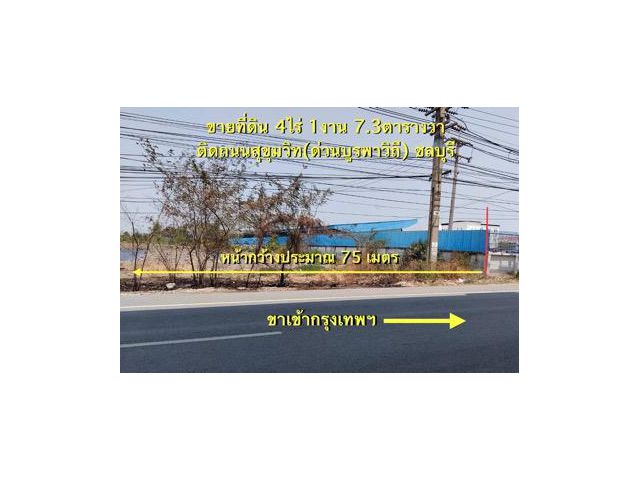 ขายที่ดิน 4 ไร่ ติดถนนสุขุมวิท คลองตำหรุ เมืองชลบุรี