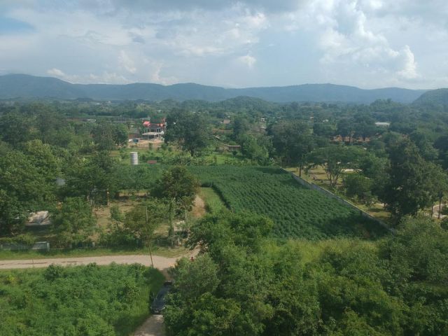 ขายที่ดินแปลงเล็ก 106 ตร.ว. เขาใหญ่ หมูสี ซอยหลังโรงแรม น้ำไฟ พร้อม