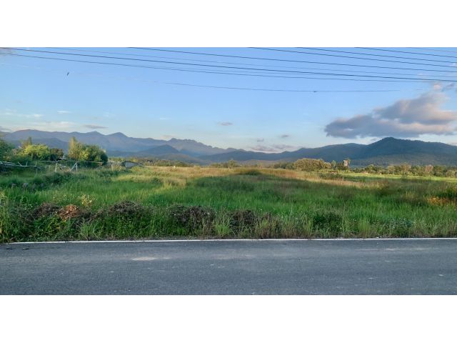 ขายที่นา วิวเขา ติดถนน เชียงคำ พะเยา