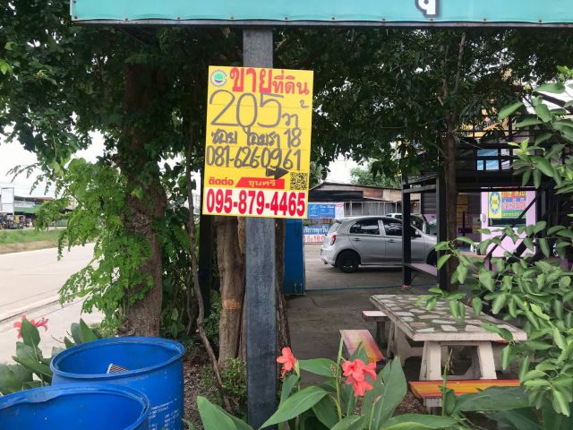ขายที่ดินคลองสอง 205 ตรว ติดถนนคอนกรีตสาธารณะ  ซ.ไอยรา 18 อ. คลองหลวง  จ. ปทุมธานี