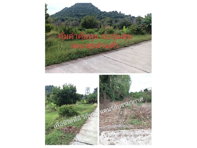 ทั้งทำเลราคามารวมกัน แปลว่าฉันรักเธอถึงกล้าให้ในราคานี้ เพื่อที่อยู่อาศัยให้ความสุขใจความพร้อมรอบด้าน สนองตอบความต้องการ