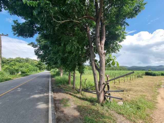 ขายที่ดิน