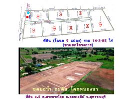 ที่ดิน (จัดล็อค) ขายยกโครงการ (โฉนด 9 ป.) ที่ดิน 14.5 ไร่ๆละ 220,000 บ. ขุดบ่อ ถมดิน ทำโคกหนองนา ถนนหินคลุก รั้ว ม.5 ต.สระกระโจม อ.ดอนเจดีย์ จ.สุพรรณฯ