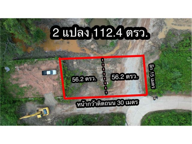 ขายที่ดินบ้านทางเกวียน 112 ตรว. ถมแล้วใกล้แยกโพธิ์ทองถนนเส้นสุขุมวิท3-500เมตร อ.แกลง ระยอง