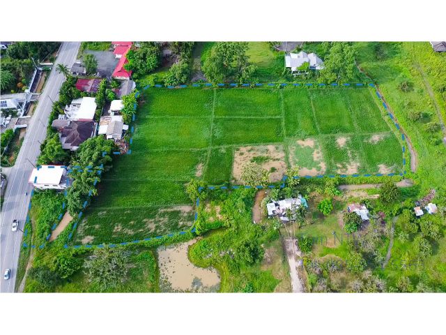 C826 ขายที่ดิน 6 ไร่ ที่ดิน ต.ป่าป้อง ดอยสะเก็ด | Land 6 rai at Doi Saket for Sale