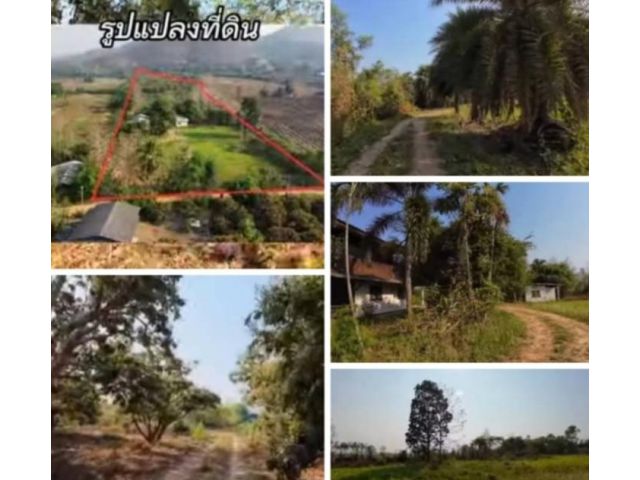ขายที่ดินโฉนดครุฑแดง 17ไร่ ไร่ละ180000บาทเจ้าของขายเอง