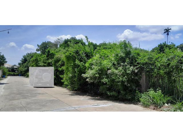 ขายด่วน ที่ดินสวนผัก 48 ตลิ่งชัน