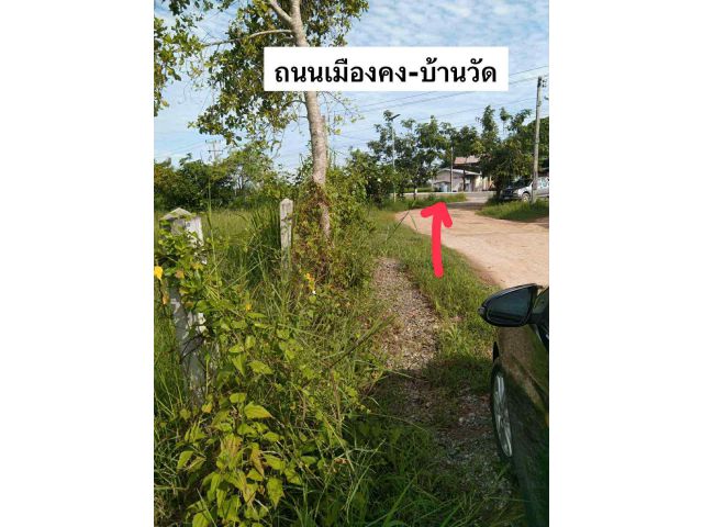 ด่วน ราคานี้ไม่มีอีกแล้ว