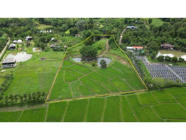 #ขายที่ดินแม่ริม ทางไปโรงเรียนนานาชาติเปรมฯ เนื้อที่ 6-0-28 ไร่ วาละ 3,900 บาท