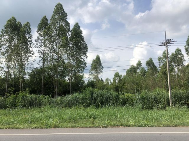 L485 ขายที่ดินสวยทำเลดี 139 ไร่ หน้ากว้าง 362 เมตร เมืองราชบุรี