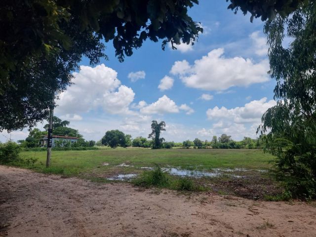 L504 ขายที่ดิน 5 ไร่ ใกล้ตัวเมืองศรีสะเกษ