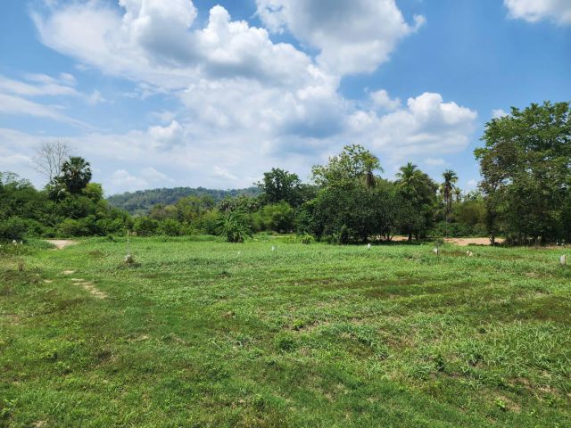 L516 ขายที่ดิน 2 ไร่ หน้ากว้าง 71 เมตร เมืองนครนายก