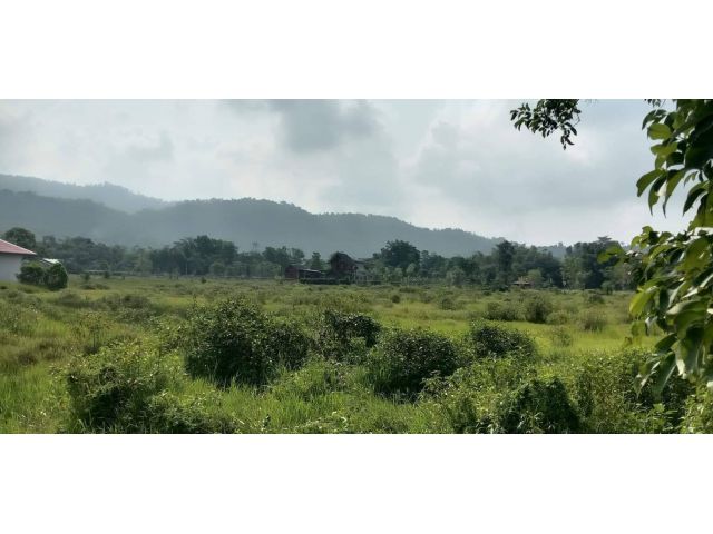 L517 ขายที่ดินวิวภูเขา 6 ไร่ หน้ากว้าง 60 เมตร เมืองนครนายก