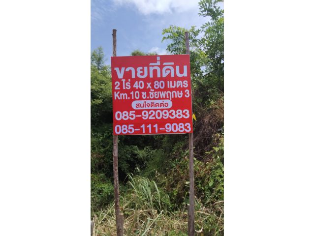 ขายที่ดินแปลงใหญ่ 787 ตารางวา ติดทางเข้าเส้น 331 – พลูตาหลวง สัตหีบ