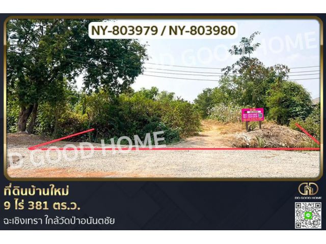 NY-803979 ที่ดินบ้านใหม่ 9 ไร่ 381 ตร.ว. ฉะเชิงเทรา ใกล้วัดป่าอนันตชัย