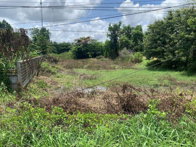 L519 ขายที่ดินติดถนน.220  241 ตรว เมืองศรีสะเกษ