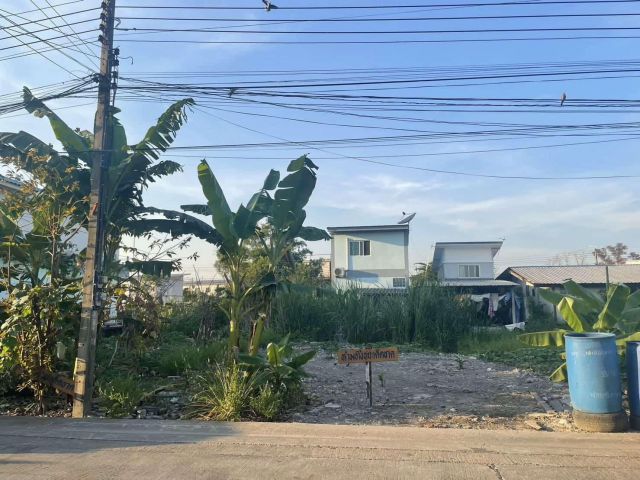 ขายที่ดิน 120 ตรว. ซ.บุญคุ้ม3 ลำลูกกา คลอง1 (ซอยรังสิต-นครนายก 30)เจ้าของขายเอง ราคาถูก