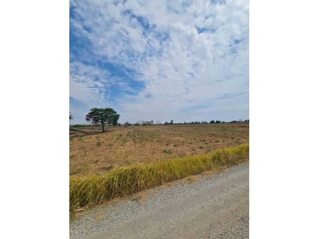 ขายที่ดินอยู่บ้านหนองหัวช้างตำบลด่านใน อำเภอด่านขุนทด