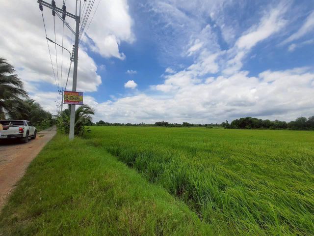 ขายด่วน ที่ดินลำต้อยติ่ง 5 ไร่ ติดถนนสาธารณะ ซ.วิบูลย์สาธุกิจ ถนนร่วมพัฒนา หนองจอก กทม.