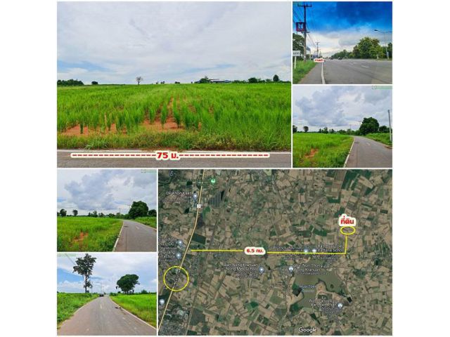 ที่ดินติดถนน.พื้นดินสูงกว่าถนน เดินทางสะดวกมาก ท้ายหมู่บ้านหนองเตย ห่างตัวเมืองขอนแก่น 15 กม.เท่านั้น